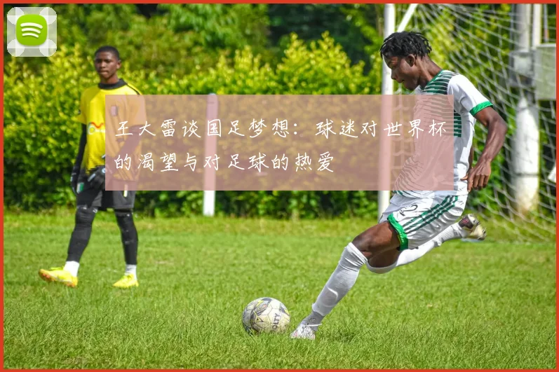 王大雷谈国足梦想：球迷对世界杯的渴望与对足球的热爱