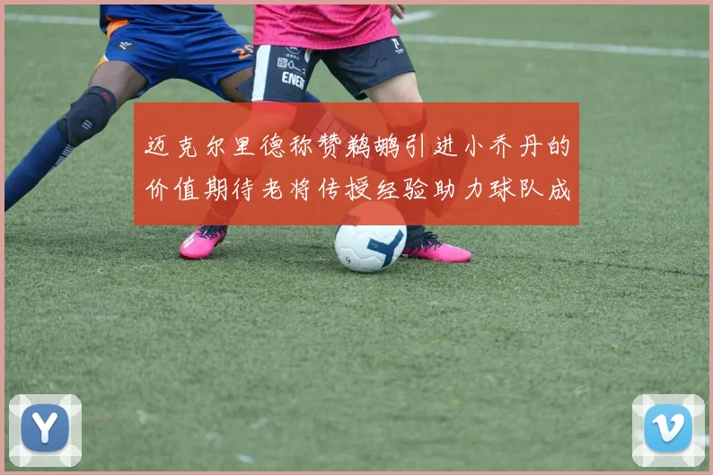 迈克尔里德称赞鹈鹕引进小乔丹的价值期待老将传授经验助力球队成长